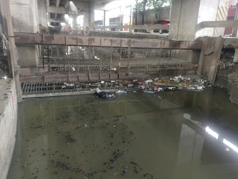 Talayan Creek, Quezon City